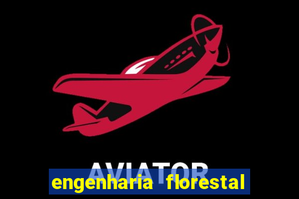 engenharia florestal ead cruzeiro do sul